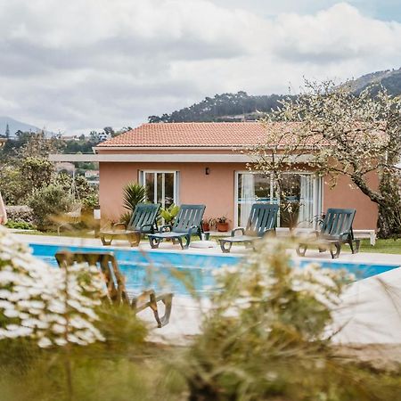 Forno House - Ameixoeira Vila Praia de Âncora Kültér fotó