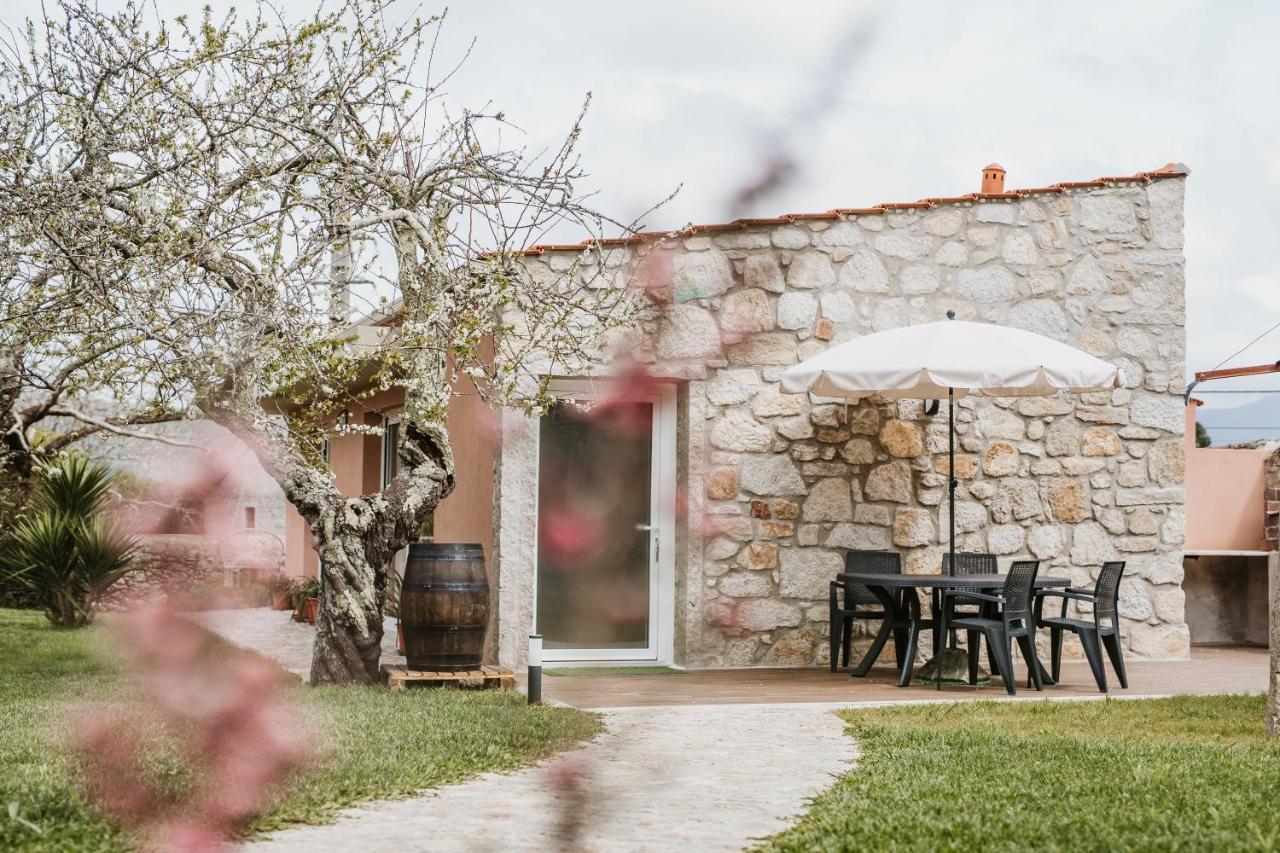 Forno House - Ameixoeira Vila Praia de Âncora Kültér fotó